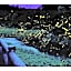 Misato no Yu Kajikaso - Vacation STAY 22197v