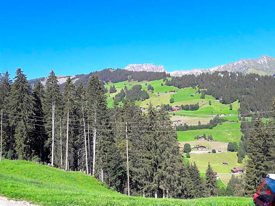 Ferien in der Bergwelt von Adelboden