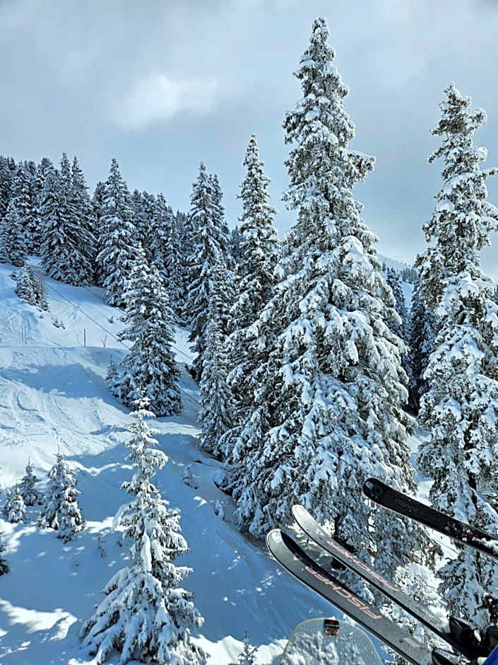 Hotel Buckelhof - See - only 20 min from Ischgl