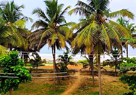 Nenapu Beachfront - Rooms in front of the beach 