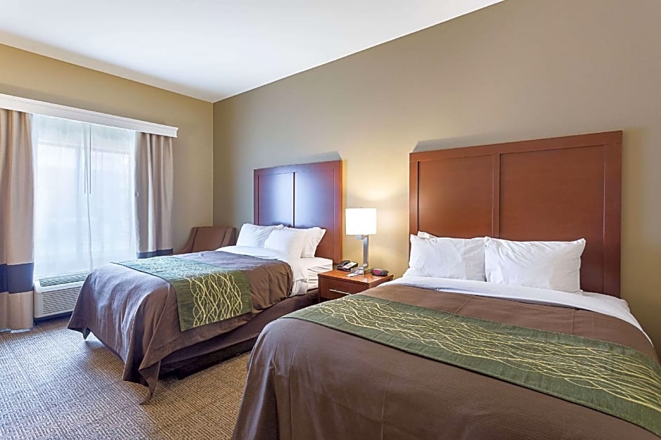 Comfort Inn & Suites Zachary