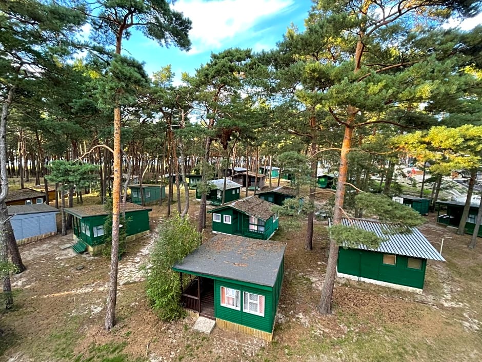 Domki letniskowe Delfin