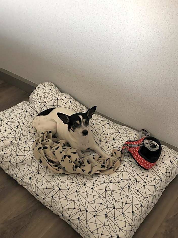 Holiday Inn Express Quebec City-Sainte Foy By IHG