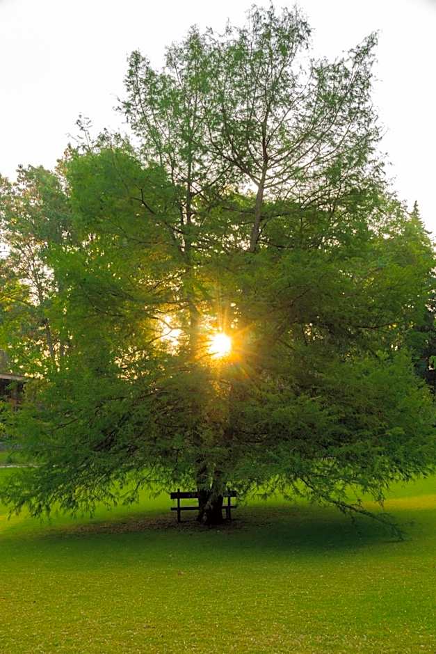 Hotel Rancho San Cayetano