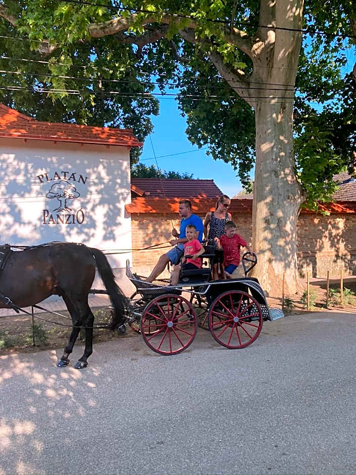 Platán Panzió