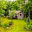 Bear Essentials Hideaway