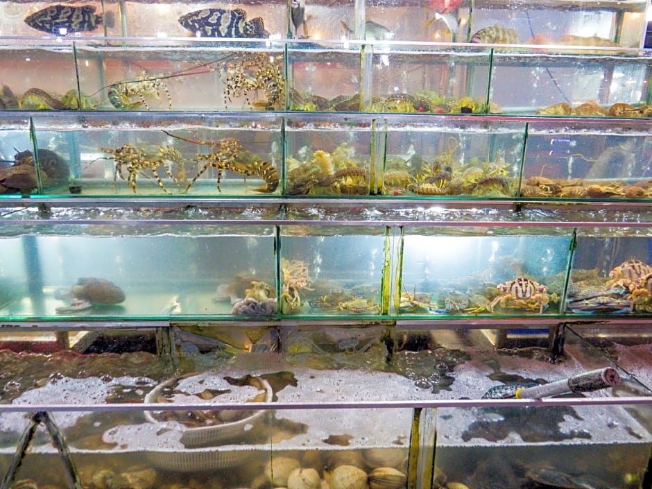 Venus Hotel Phu Quoc