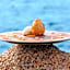 Sofitel Golfe D'Ajaccio Thalassa Sea & Spa