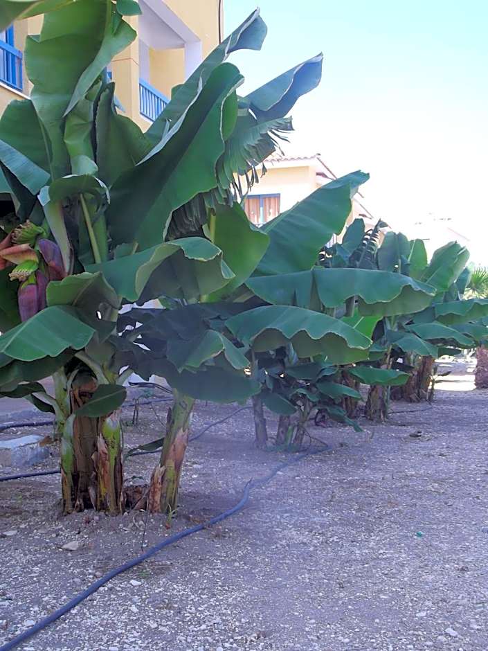 Kefalonitis Hotel Apartments