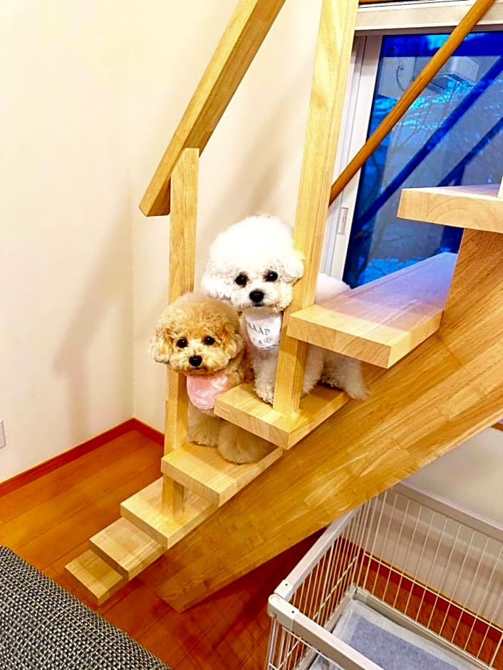 Hakuba Powder Mountain