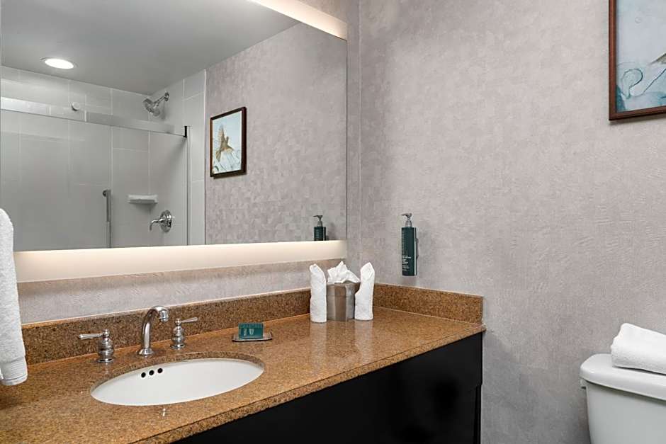 DoubleTree By Hilton Hotel Bradley International Airport