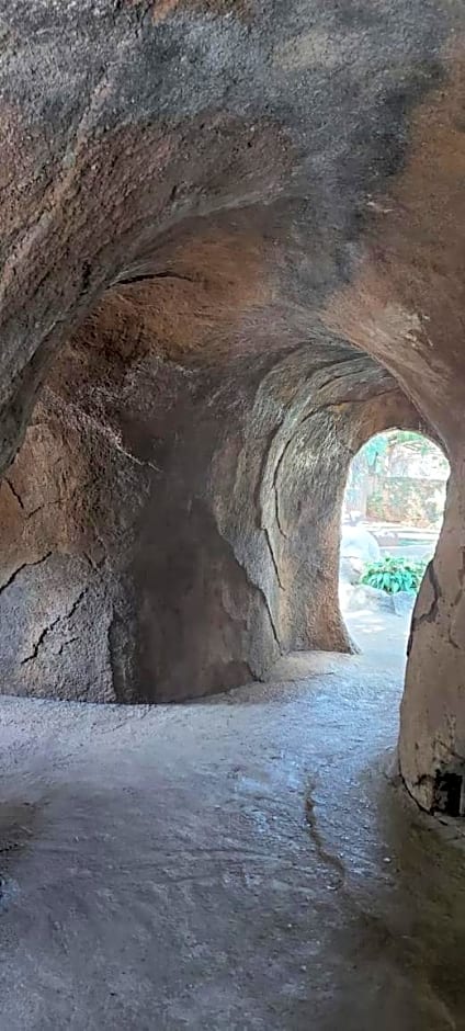 DiRoma International