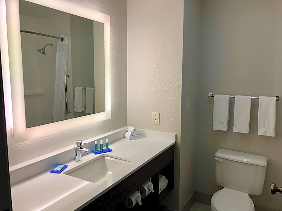 Holiday Inn Express Arlington Interstate 20 Parks Mall By IHG