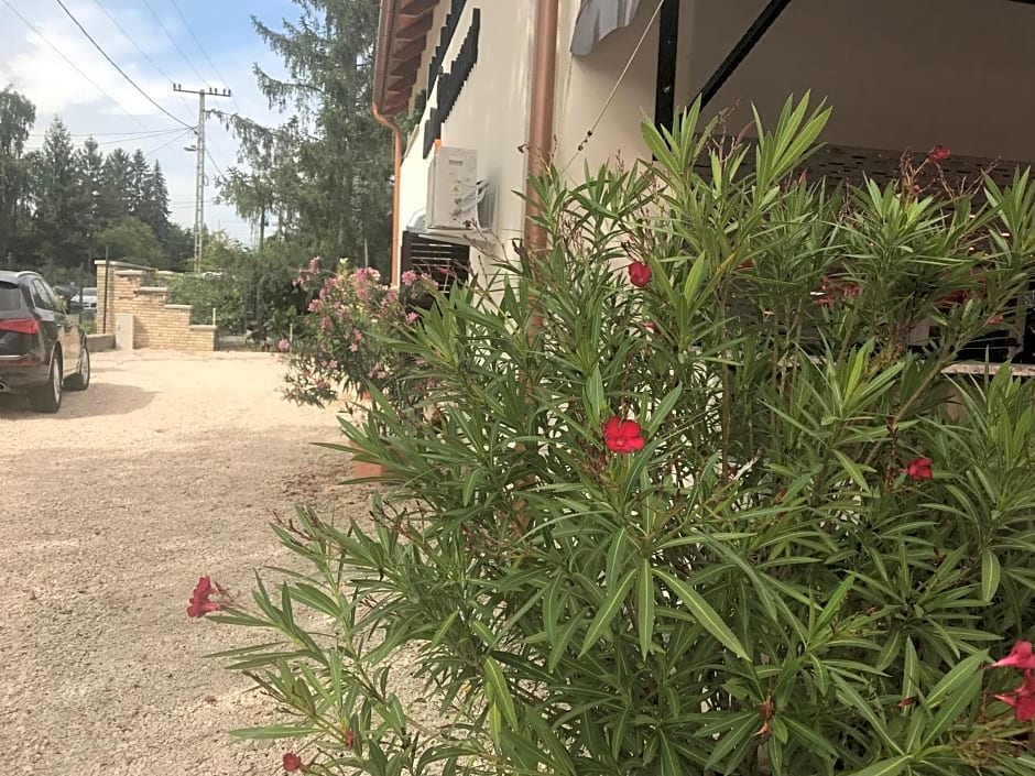 Admiralitás Kitchen and Restaurant