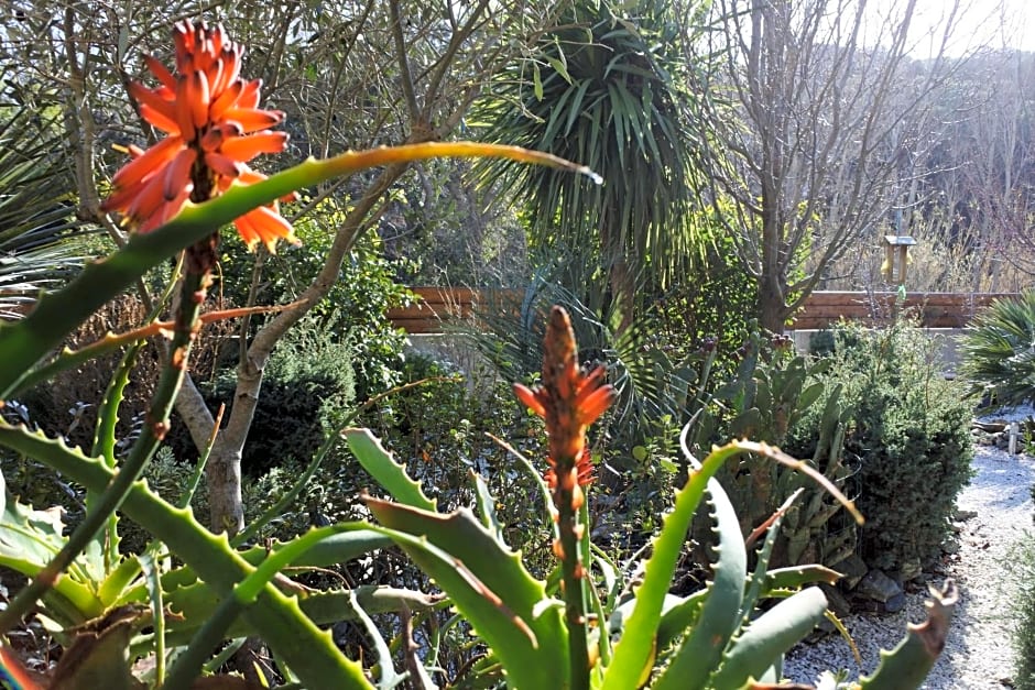 Patrimonio chambre avec commodités chez l’habitant