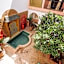 Riad Davina