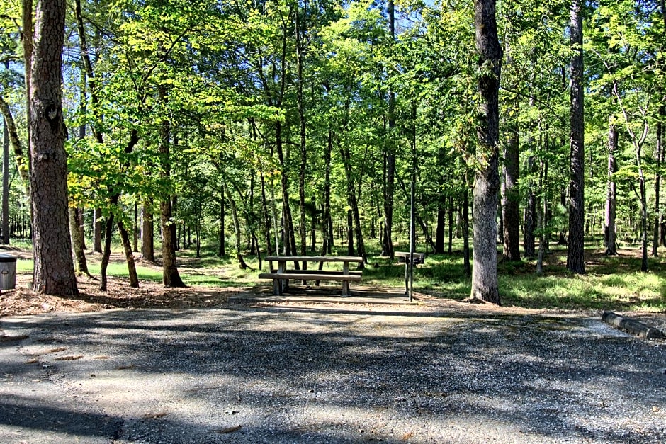 The Americana - Parker Creek Bend Cabins