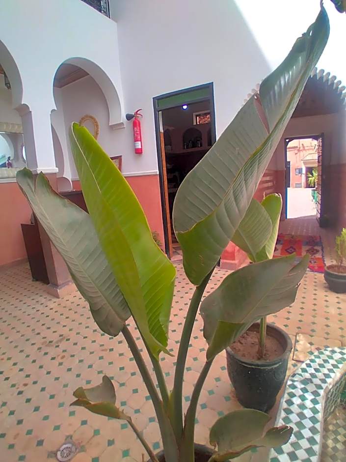 Riad 9 Derb El Bousnne