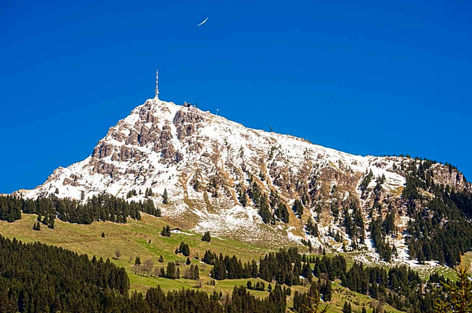 Das Kitz - Chalet Steuerberg XL Kitzbühel