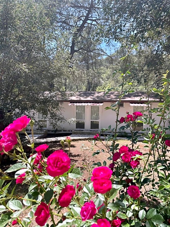 Olympos Angels Garden