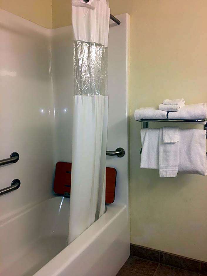 Microtel Inn & Suites By Wyndham Indianapolis Airport