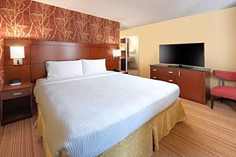 One-Bedroom King Suite with Sofa Bed