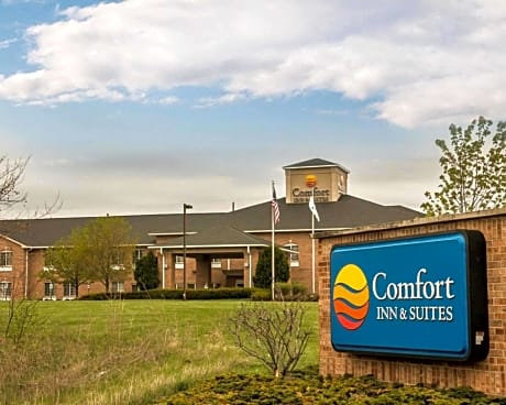 Comfort Inn & Suites Fenton