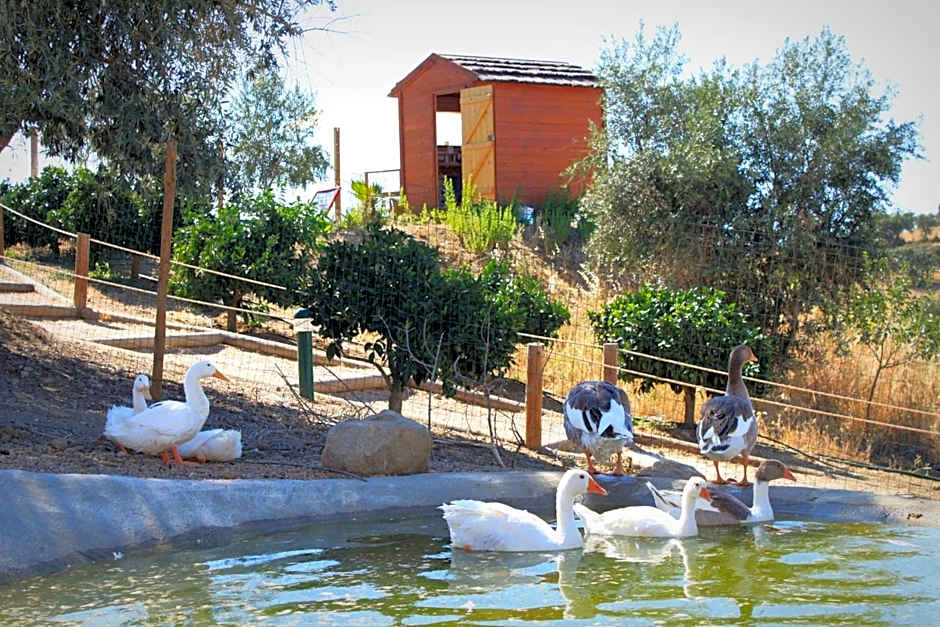 Hotel O Gato - Edificio Standard