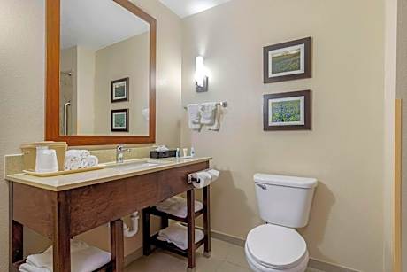 1 King Bed  Suite  No Smoking  Accessible Room