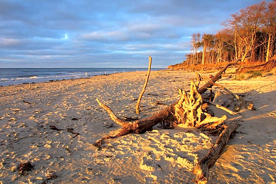 Strandhotel Dünenmeer - Adults only