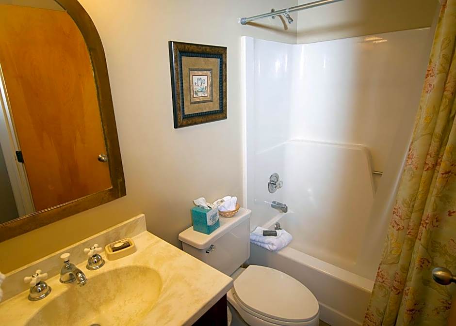 Mountain Lodge at Okemo, A Vail Resorts Property