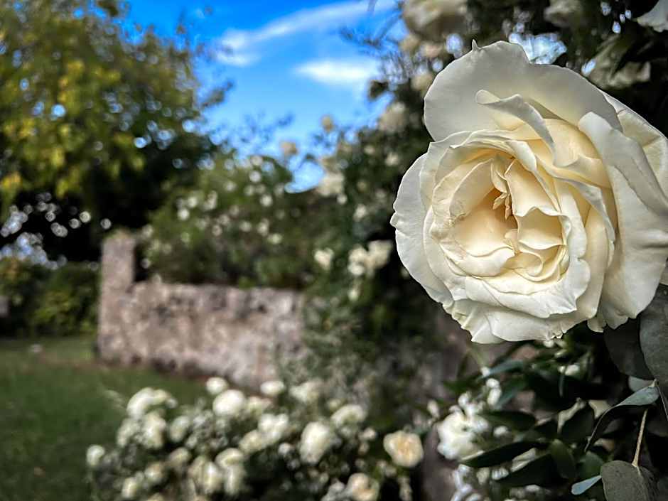 Santoro Country House