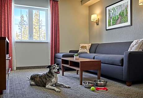 Two-Bedroom Suite