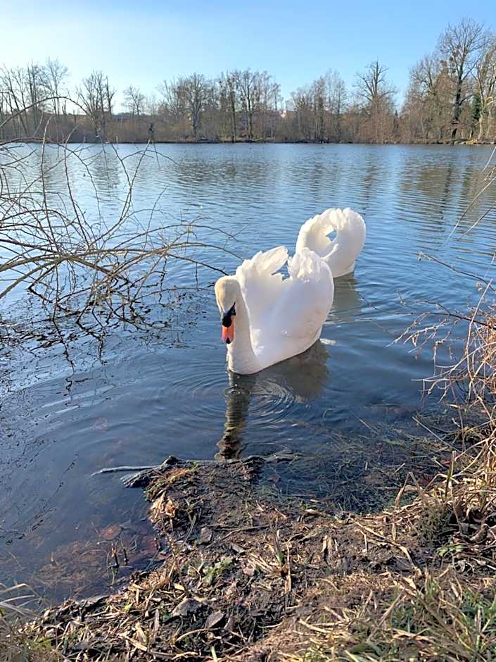 Hôtel L'ile Du Saussay