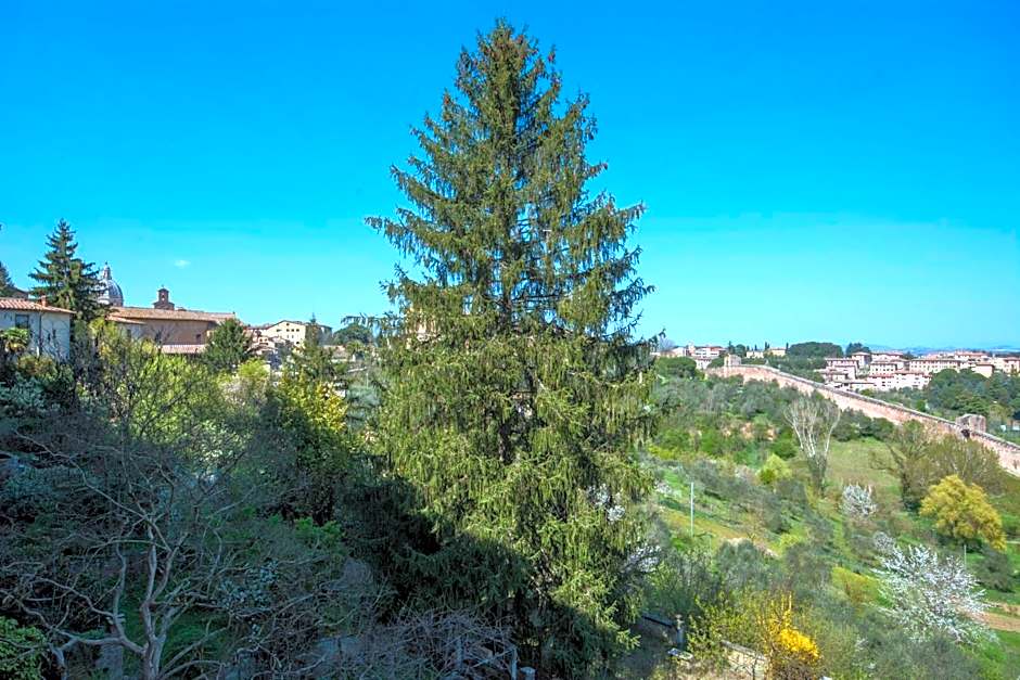 B&B Pantaneto - Palazzo Bulgarini