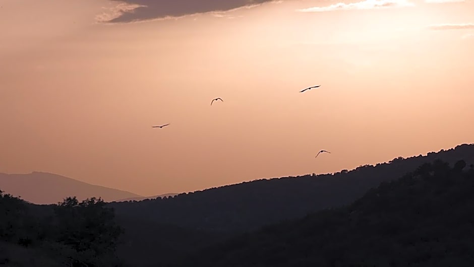 Hotel Cardamomo Sigüenza