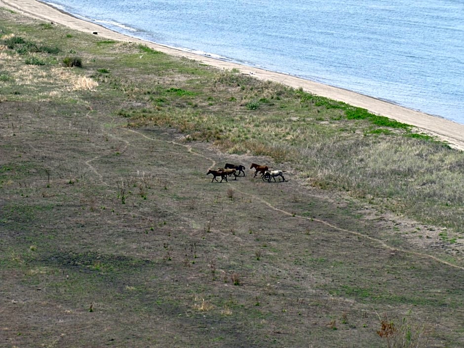 4 Pohon - Les 4 Arbres