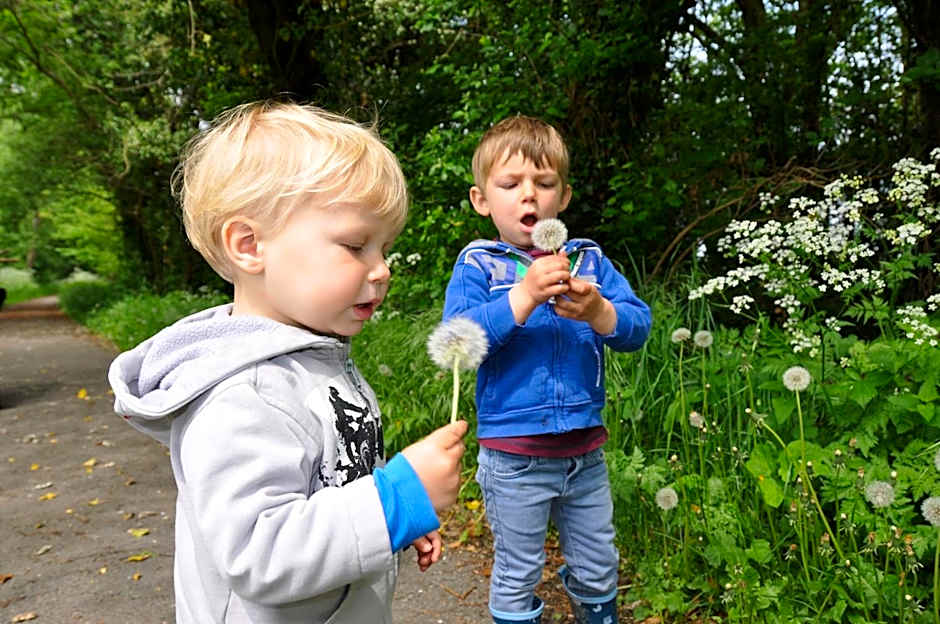B&B Hoeve de Schapenkop