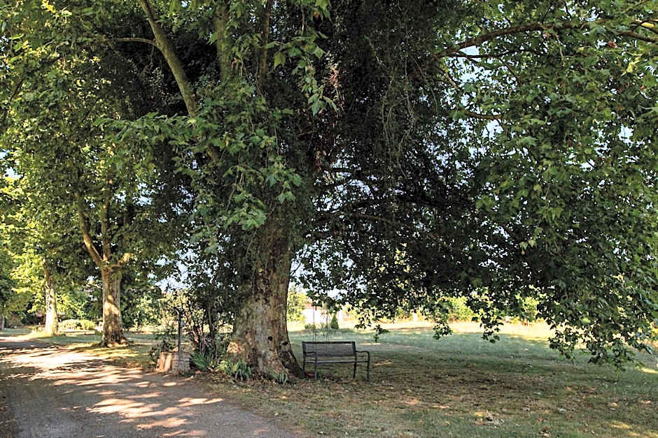 Domaine des Jammetous - Hotel and Yoga Retreat Center