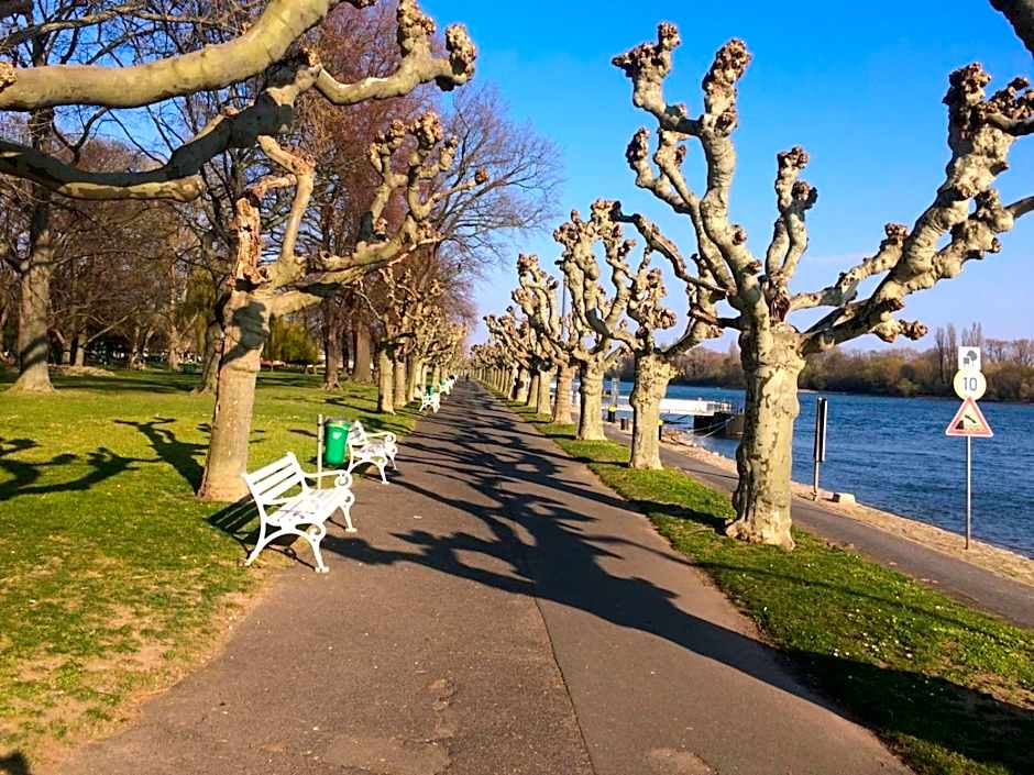 Hotel Krone Rudesheim
