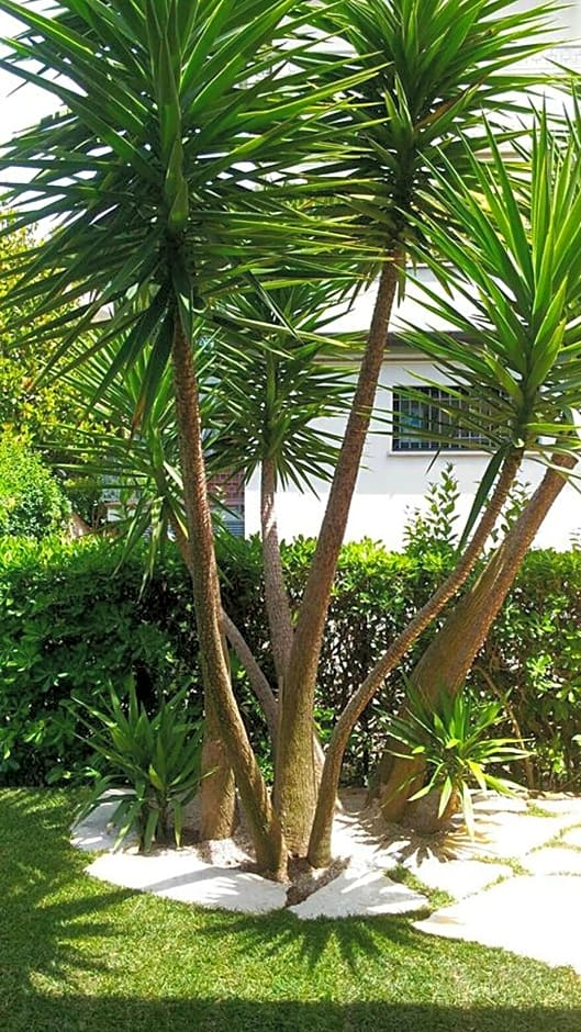 B&B Villino Giovanna Wi-Fi AC Prima fila mare Pineta