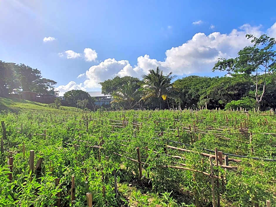 Hotel and Dive Center Roatan Yacht Club