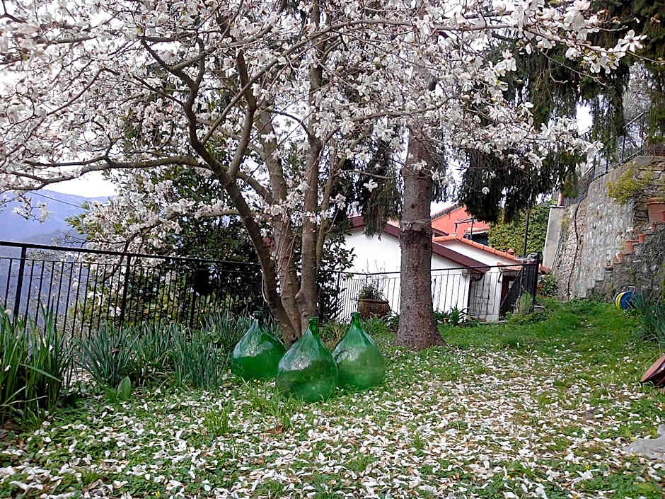 B&B I Glicini