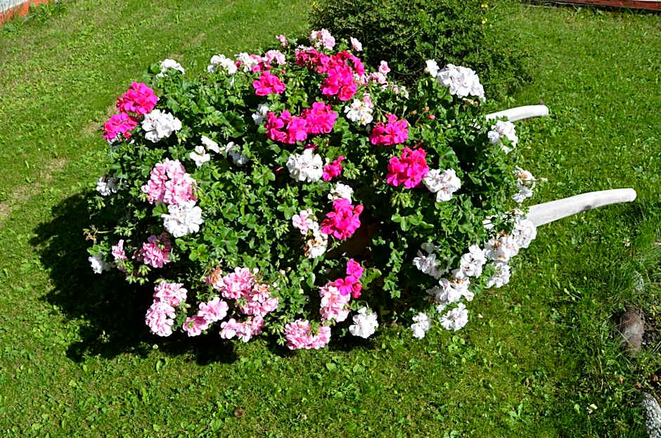 Meublè Rosalpina