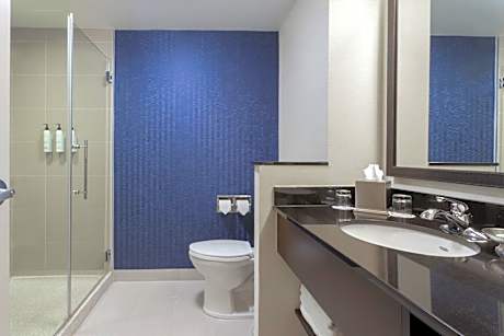King Suite with Sofa Bed