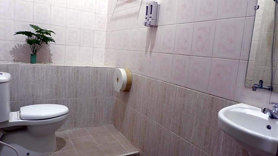 Sleepy Raccoon Hostel