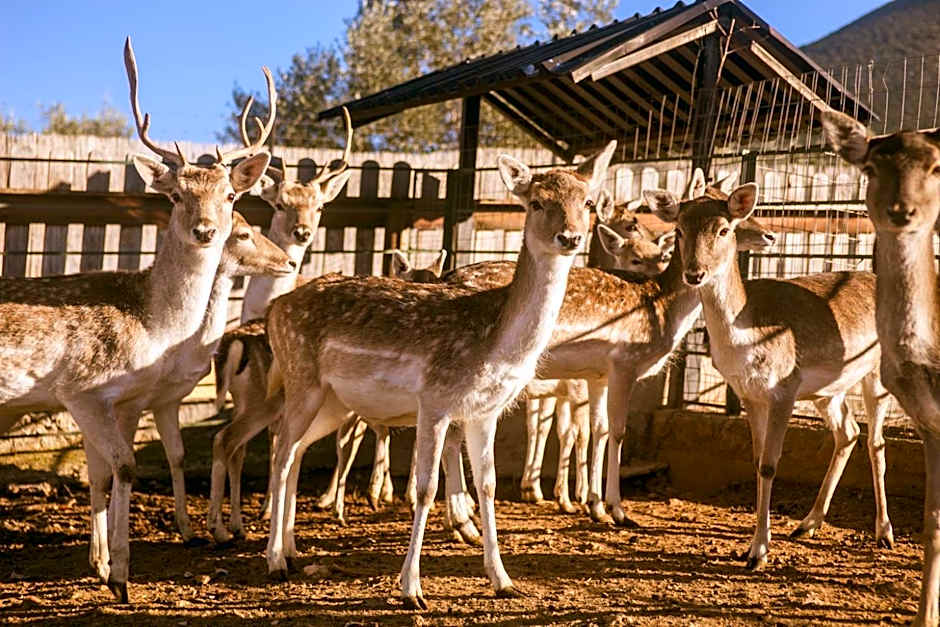 Anthidon Nature Estate & Farm