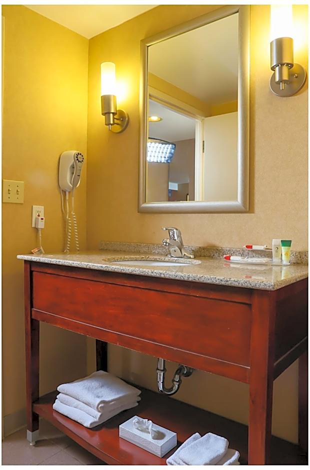 Ramada by Wyndham Niagara Falls/Fallsview