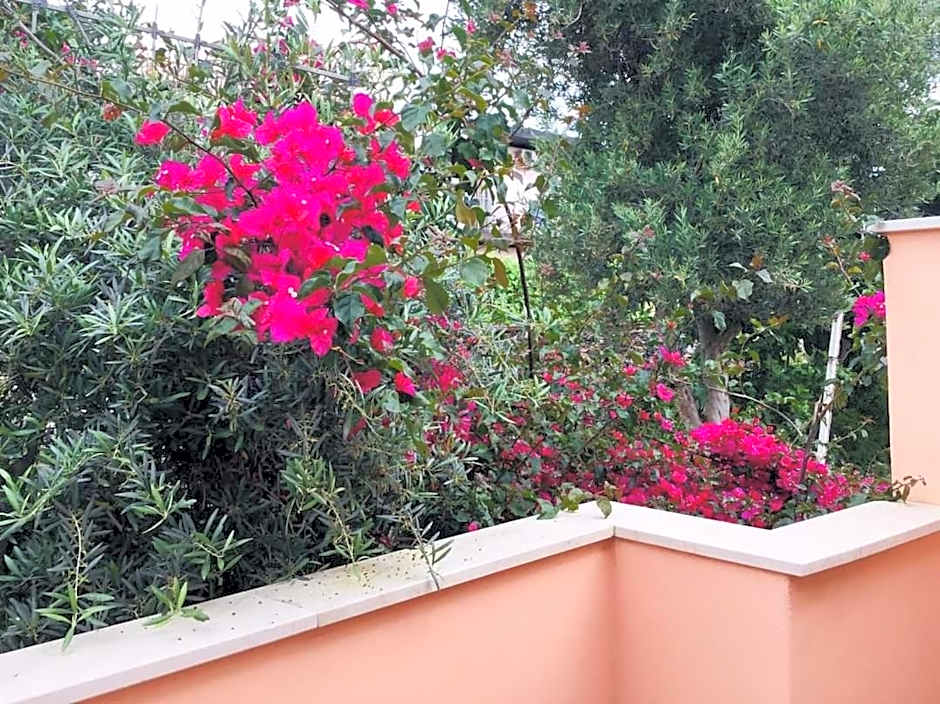 b & b Jasmine