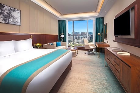 Premium ADA 1 King Studio with bath